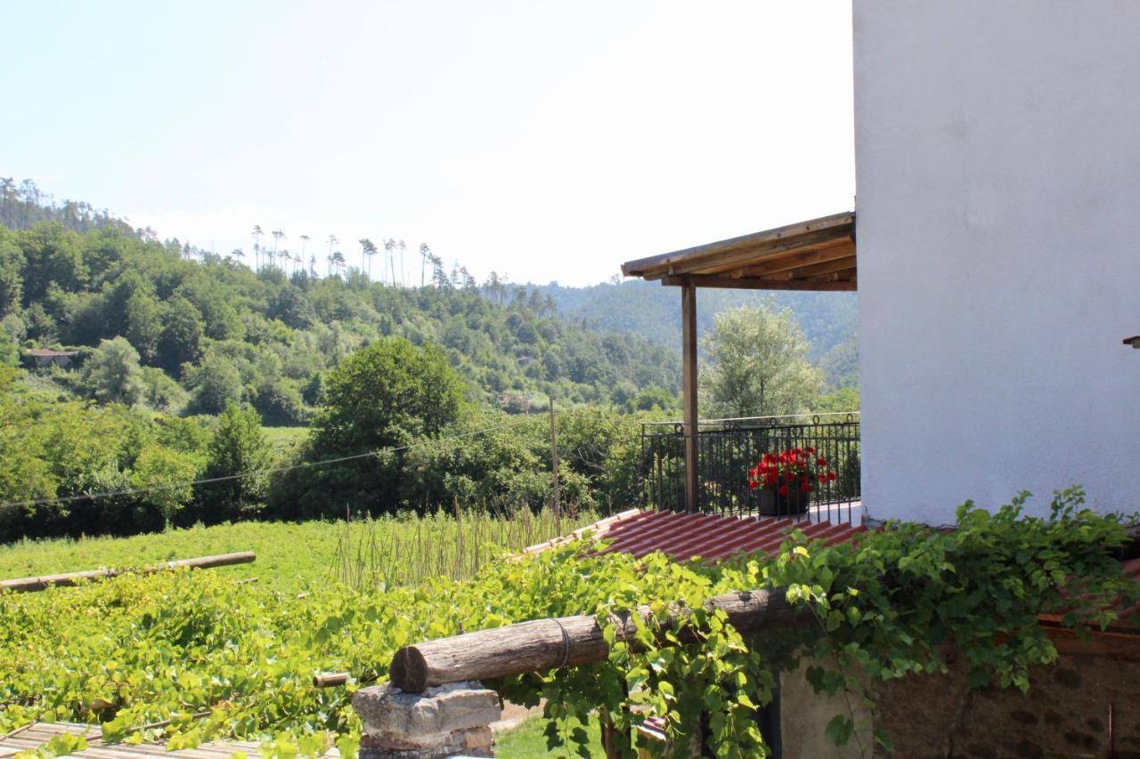 Agriturismo La Ferriera بيغنون المظهر الخارجي الصورة