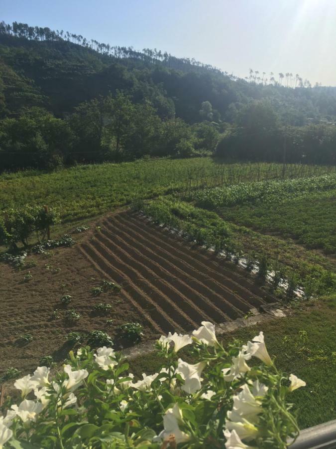 Agriturismo La Ferriera بيغنون المظهر الخارجي الصورة